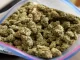 legalized marijuana