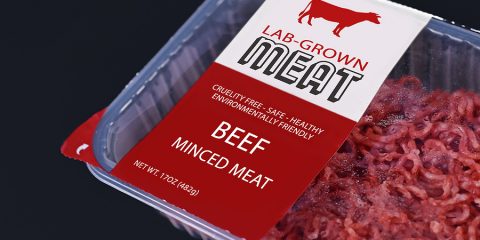 usda lab-grown meat