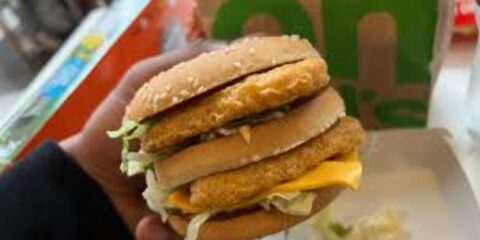 mcdonald's chicken big mac