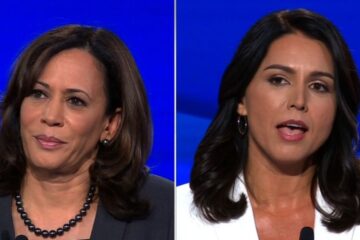 tulsi gabbard kamala harris