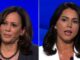 tulsi gabbard kamala harris