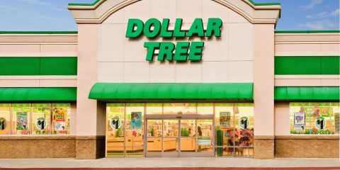 dollar tree