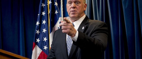 tom homan border czar