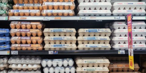 grocery store eggs