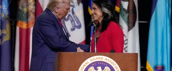 trump dni tulsi gabbard