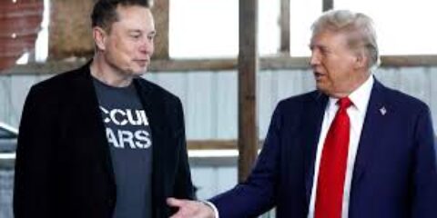 trump and doge elon musk