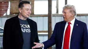 trump and doge elon musk