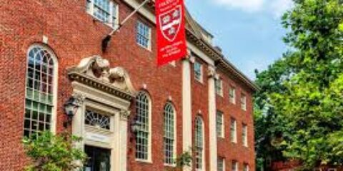 harvard university