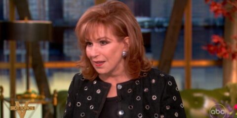 the view joy behar