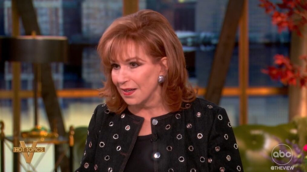 the view joy behar