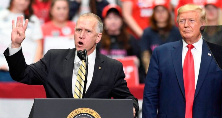 trump and senator thom tillis