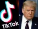 trump tiktok