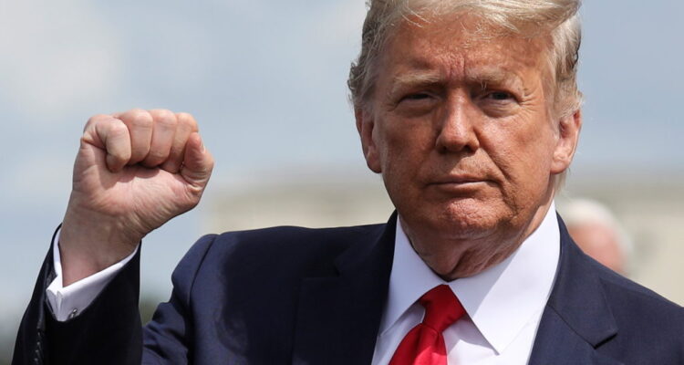 TRUMP WITH FIST UP