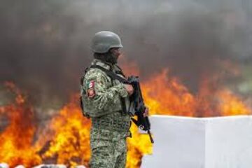 mexican drug cartels