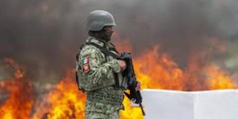 mexican drug cartels