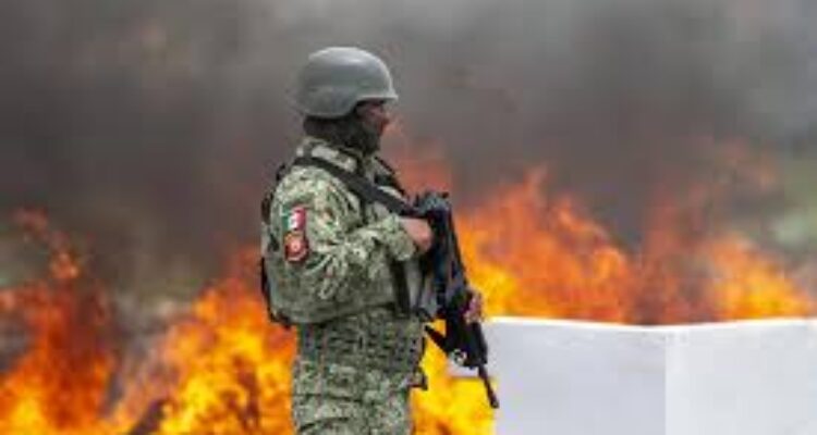 mexican drug cartels