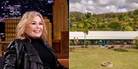 roseanne barr