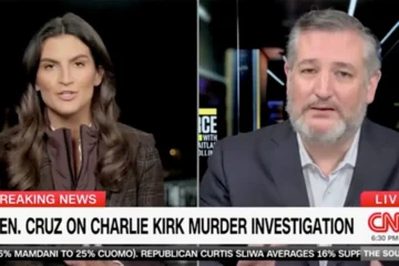 ted cruz on cnn